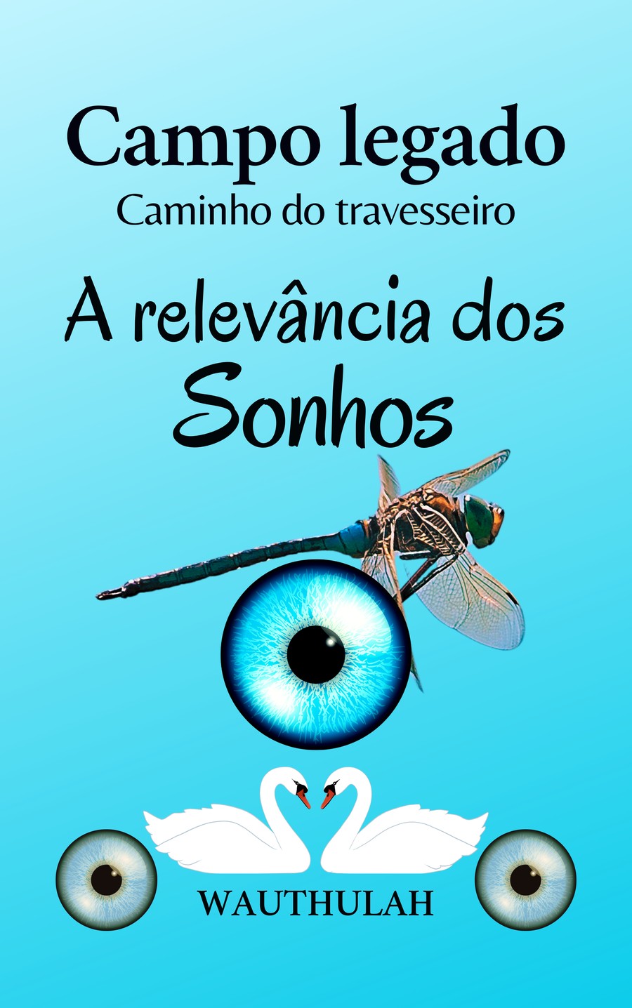 Capa de Campo Legado, Caminho do Travesseiro